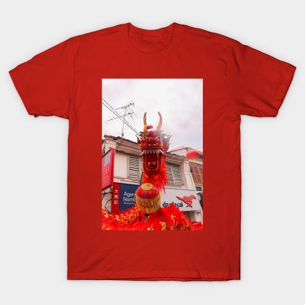 A head of a long red dragon T-Shirt by kall3bu